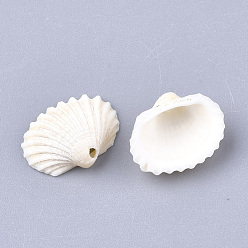 Marfil Encantos concha espiral, cáscara, blanco cremoso, 21~29.5x17.5~24x6~10.5 mm, agujero: 1.2 mm