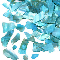 Bleu Ciel Foncé Fragment naturel de mica de coquille d'ormeau/paua, décorations d'art d'ongle, tranches de mica coquille, teint, bleu profond du ciel, 1~20x1~15x0.5mm