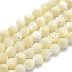 Coquillage Blanc Perles naturelles de coquillages blancs, brins de perles en nacre, ronde, facette, 6mm, Trou: 1mm, Environ 69 pcs/chapelet, 15.3 pouce (39 cm)