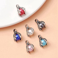 Mixed Color 6 Bags 6 Colors Tibetan Style Alloy Charms, ABS Plastic Imitation Pearl Beads, Cadmium Free & Lead Free, Claw, Mixed Color, 14x11x11mm, Hole: 2mm, 1pc/color