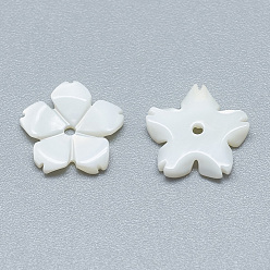 Seashell Color Freshwater Shell Beads, Flower, Seashell Color, 10x10x1.5mm, Hole: 1mm