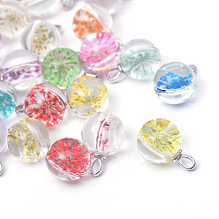 Platinum Round Alloy Glass Pendants, Cadmium Free & Lead Free, with Dried Flower Inside, Platinum, 22~23x15mm, Hole: 4.5x2.5mm