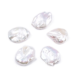 Color de la concha Perlas de perlas naturales keshi, perlas de agua dulce, perlas barrocas, sin agujero / sin perforar, pepitas, color de concha, 23~25x18.5~19x4~6 mm