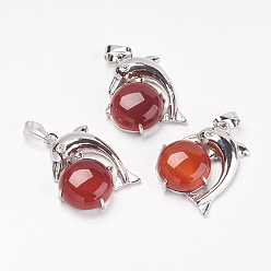 Carnelian Natural Carnelian/Red Agate Pendants, with Brass Findings, Dolphin, Dyed & Heated, Platinum, 30x23x8mm, Hole: 5x8mm
