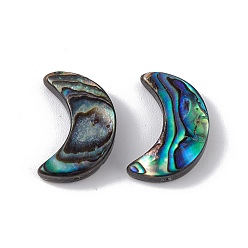 Colorful Natural Abalone Shell/Paua Shell Beads, Moon, Colorful, 15.5x10.5x3mm, Hole: 0.9mm