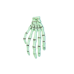 Светло-зеленый Светящиеся в темноте пластиковые скелеты рук, страшное украшение на хэллоуин, озорство опора, светло-зеленый, 75x40 мм