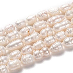 Bisque Natural Cultured Freshwater Pearl Beads Strands, Rice, Bisque, 8~23x8~9mm, Hole: 0.8mm, about 31pcs/strand, 13.58 inch(34.5cm)