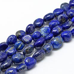 Lapis Lazuli Natural Lapis Lazuli Beads Strands, Oval, 6~10x4~7x4~7mm, Hole: 1mm, about 43~62pcs/strand, 15.7 inch