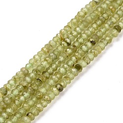 Péridot Péridot naturelles brins de perles, facette, rondelle, 3x2.5mm, Trou: 0.5mm, Environ 188 pcs/chapelet, 15.55'' (39.5 cm)