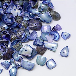 Royal Blue Dyed Natural Spiral Shell Chips Beads, Shell Shards, Royal Blue, 10~20x6~15mm, Hole: 1mm, about 700pcs/500g