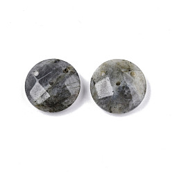 Labradorite Natural Labradorite Connector Charms, Faceted, Flat Round, 20x6~7mm, Hole: 1.4mm, Half Hole: 1.5mm