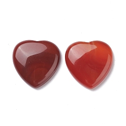 Red Agate Cabochons de ágata roja naturales, teñido y climatizada, corazón, 29~30x29~30x6~8 mm