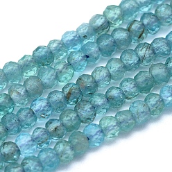Apatite Perles naturelles apatite brins, rondelle, facette, 3x2mm, Trou: 0.5mm, Environ 194 pcs/chapelet, 15.3 pouce (39 cm)
