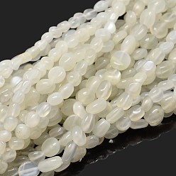 White Moonstone Natural White Moonstone Nuggets Beads Strands, Tumbled Stone, 5~10x6~7x3~7mm, hole: 1mm, about 14.9 inch~15.7 inch