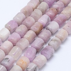 Kunzite Kunzite naturelles brins de perles, perles de spodumène, colonne, 11x8mm, Trou: 1mm, Environ 38 pcs/chapelet, 15.94 pouce (40.5 cm)
