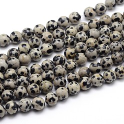 Jaspe Dalmate Jaspe dalmatien naturelle rangées de perles rondes, 8mm, Trou: 1mm, Environ 48 pcs/chapelet, 15.6 pouce