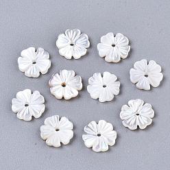 Coquillage Blanc Perles naturelles de coquillages blancs, perles en nacre, fleur, 8.5x8.5x1.5mm, Trou: 1mm