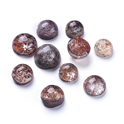 Quartz Lodolite Quartz naturel lodolite / cabochons de jardin en quartz, demi-tour / dôme, 10~14.5x6~9mm