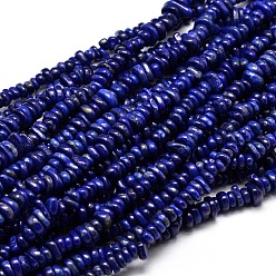 Lapis Lazuli Perles de pépites de lapis lazuli naturel de brins, 4~14x4~12mm, Trou: 1mm, environ 15.3 pouces ~ 16.1 pouces
