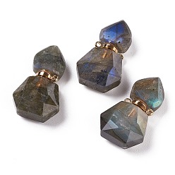 Labradorite Hexagon Natural Labradorite Perfume Bottle Pendants, with 304 Stainless Steel Findings, Faceted, Golden, 27~27.5x16~17x8mm, Hole: 1.4mm, Capacity: 0.1ml(0.00fl. oz)