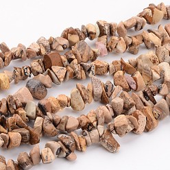 Jaspe Image Image naturelle puces de jaspe perles brins, 5~8mm, trou: environ 0.3 mm, 31~33 pouce de long