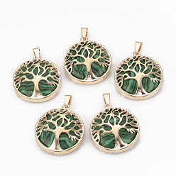 Malachite Synthetic Malachite Pendants, with Brass Findings, Flat Round with Tree of Life, Dyed, Golden, 30.5x27x8mm, Hole: 7x3mm