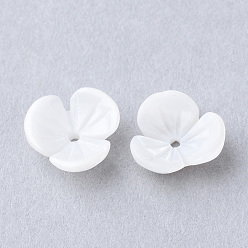 Creamy White Natural Sea Shell Beads, Flower, Creamy White, 11.5x12x3.5mm, Hole: 0.5mm