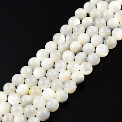 White Shell Natural White Shell Bead Strands, Round, 6mm, Hole: 1mm, about 67pcs/strand, 15.16 inch~14.96 inch(38~38.5cm)