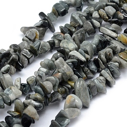 Eagle Eye Stone Natural Hawk's Eye Beads Strands, Eagle Eye Stone, Chip, 5~8mm, Hole: 1mm, about 33 inch(84cm)