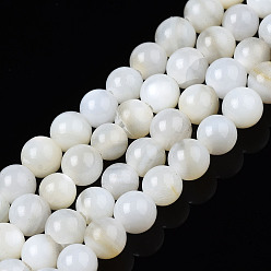 Blanc Fantôme Eau douce naturelle de coquillage perles brins, teint, ronde, fantôme blanc, 2.5mm, Trou: 0.5mm, Environ 122~136 pcs/chapelet, 14.57 pouces~15.63 pouces (37cm~39.7cm)