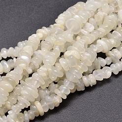 White Moonstone Natural White Moonstone Chip Beads Strands, 4~14x4~12mm, Hole: 1mm, about 15.3 inch~16.1 inch