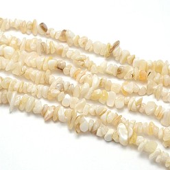 Белые Ракушки Натуральный белый бусы, перламутровые бусины пряди, чипсы наггетс, 3~5x3~5 мм, отверстие : 1 мм, 31.5 дюйм