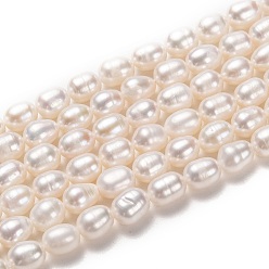 Bisque Natural Cultured Freshwater Pearl Beads Strands, Rice, Bisque, 7~8x6mm, Hole: 0.8mm, about 51pcs/strand, 14.17 inch(36cm)