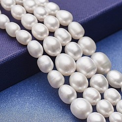Blanc Brins de perles graduées en perles d'eau douce de culture naturelle, grade de aaa, pomme de terre, blanc, 5~11.5x4~9mm, Trou: 0.5mm, Environ 61~62 pcs/chapelet, 15.94~16.14 pouce (40.5~41 cm)