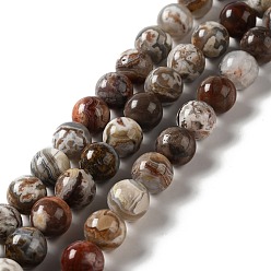 Agate Mexicaine Perles en agate mexicaine naturelle, ronde, 10mm, Trou: 1mm, Environ 39 pcs/chapelet, 15.35'' (39 cm)