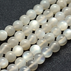 White Moonstone Natural White Moonstone Beads Strands, Grade AB+, Round, 6mm, Hole: 1mm, about 67pcs/strand, 15.7 inch(40cm).