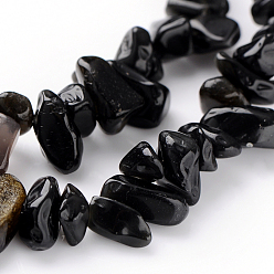 Obsidienne Obsidienne naturelle perles brins, puces, 5~10mm, Trou: 0.8mm, 31.5 pouce