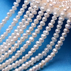 Blanc Brins de perles de culture d'eau douce naturelles de pomme de terre, blanc, 3.5~4mm, Trou: 0.8mm, Environ 90~95 pcs/chapelet, 13.78 pouce (35 cm)