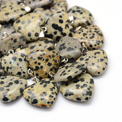 Jaspe Dalmate Coeur dalmatien naturel pendentifs jaspe, avec les accessoires en laiton de tonalité de platine, 20~22x20~21x5~8mm, Trou: 2x7mm