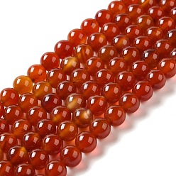 Roja Ágata natural de hebras, teñido, rondo, rojo, 6 mm, agujero: 1 mm, sobre 65 unidades / cadena, 15.5 pulgada