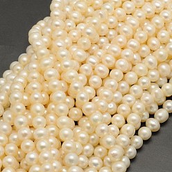 Beige Hilos de perlas de agua dulce cultivadas naturales, rondo, crema, 6~6.5 mm, agujero: 0.8 mm, sobre 68 unidades / cadena, 15.5 pulgada