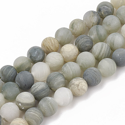Green Line Jasper Natural Green Line Jasper Beads Strands, Frosted, Round, 6mm, Hole: 1mm, about 63pcs/strand, 15.5 inch