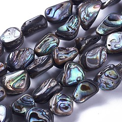 Paua Shell Natural Abalone Shell/Paua Shell Beads Strands, Nuggets, 10~19x9~14x5~8mm, Hole: 1mm, about 28~30pcs/strand, 15.7~15.9 inch(40~40.5cm)