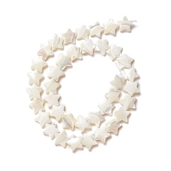 Seashell Color Natural Trochid Shell/Trochus Shell Beads, Star, Seashell Color, 12.5x11.5x3.5mm, Hole: 1mm, about 38pcs/strand, 15.63 inch(39.7cm)