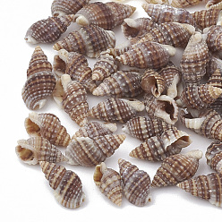 Rosy Brown Sea Shell Beads, Undrilled/No Hole Beads, Rosy Brown, 9~14x6~8x4~6mm, about 2270pcs/500g