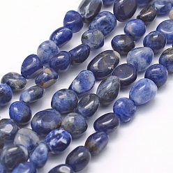Sodalite Sodalites naturelles brins de perles, ovale, 5~12x6~9x4~7mm, Trou: 1mm, Environ 50~53 pcs/chapelet, 15.3 pouces ~ 15.7 pouces