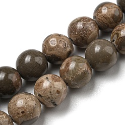 Map Stone Natural Map Stone/Picasso Stone Beads Strands, Round, 8mm, Hole: 0.8mm, about 49pcs/strand, 15.59~15.71''(39.6~39.9cm)