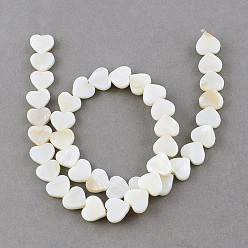 Ivoire Naturelles coquillage perles brins, cœur, blanc crème, 10x10~11x3mm, Trou: 0.8~0.9mm, Environ 40 pcs/chapelet, 14.1 pouce