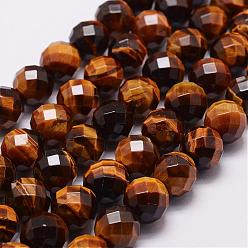 Tiger Eye Natural Tiger Eye Beads Strands, Grade A, Faceted(64 Facets), Round Bead, 12mm, Hole: 1.2mm, 33pcs/strand, 15.7 inch