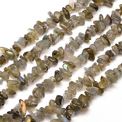 Labradorite Labradorite naturelle brins puce de perles, 5~8x5~8mm, Trou: 1mm, environ 31.5 pouce